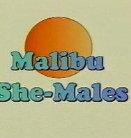 Metromalibu Sme Malesfull Movie - PelisXXX.me