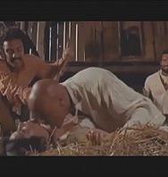 Forced Sex Scenes From Regular Movies Western Special 3 - PelisXXX.me