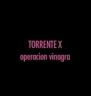 Torrente X Operacion Vinagra - PelisXXX.me