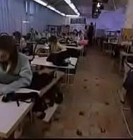 Lingeiries French Complete - PelisXXX.me