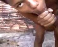 Mulato Caliente Atornillado En El Patio Trasero Con El Vecino - PelisXXX.me