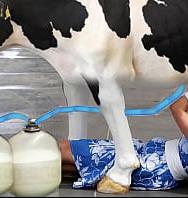 ¿cuÁnta Leche Puedo Extraer? - PelisXXX.me