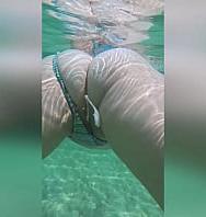 Múltiples Creampies Bajo El Agua Con Semen Dentro - PelisXXX.me