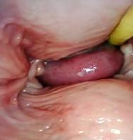 IncreÍble Pov Interno. CÁmara Dentro De Su CoÑo Mientras La LlenÉ De Semen - PelisXXX.me