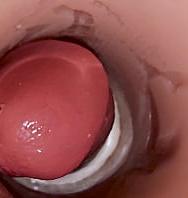 Cámara Dentro De Coño Profundo Captura Enorme Eyaculación De Esperma - PelisXXX.me