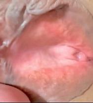 ¡coño Virgen De 18 Años! Vi La Prueba De Que Nunca Ha Sido Penetrado: ¡una Auténtica Virgen! - PelisXXX.me